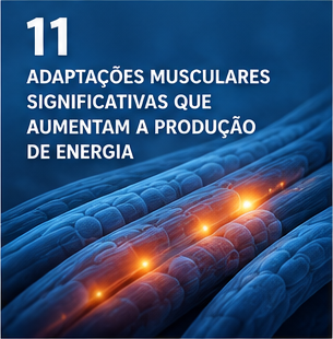 Página 11 em português da apresentação Cloud 9.