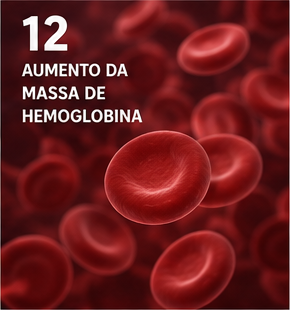 Página 12 em português da apresentação Cloud 9.
