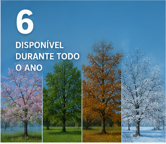 Página 6 em português da apresentação Cloud 9.